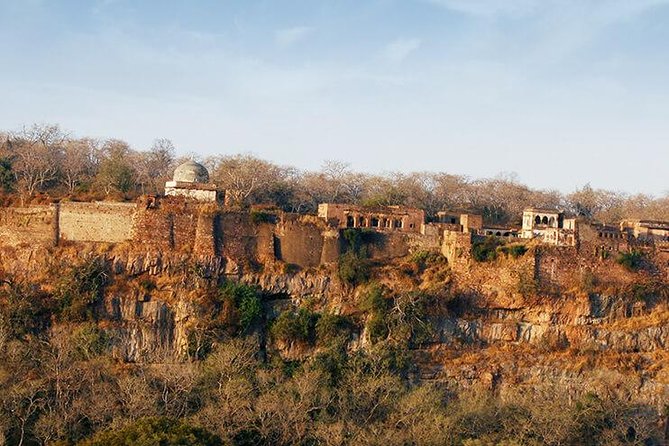 2 Days Ranthambore Tiger Safari with Tickets - Jaipur to Sawai Madhopur: the A/C transfer that sets your tone