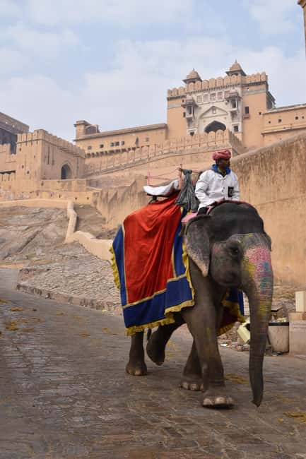 7-Day Golden Triangle Jodhpur Udaipur Tour from Delhi - Golden Triangle plus Rajasthan: the pacing you’re really buying