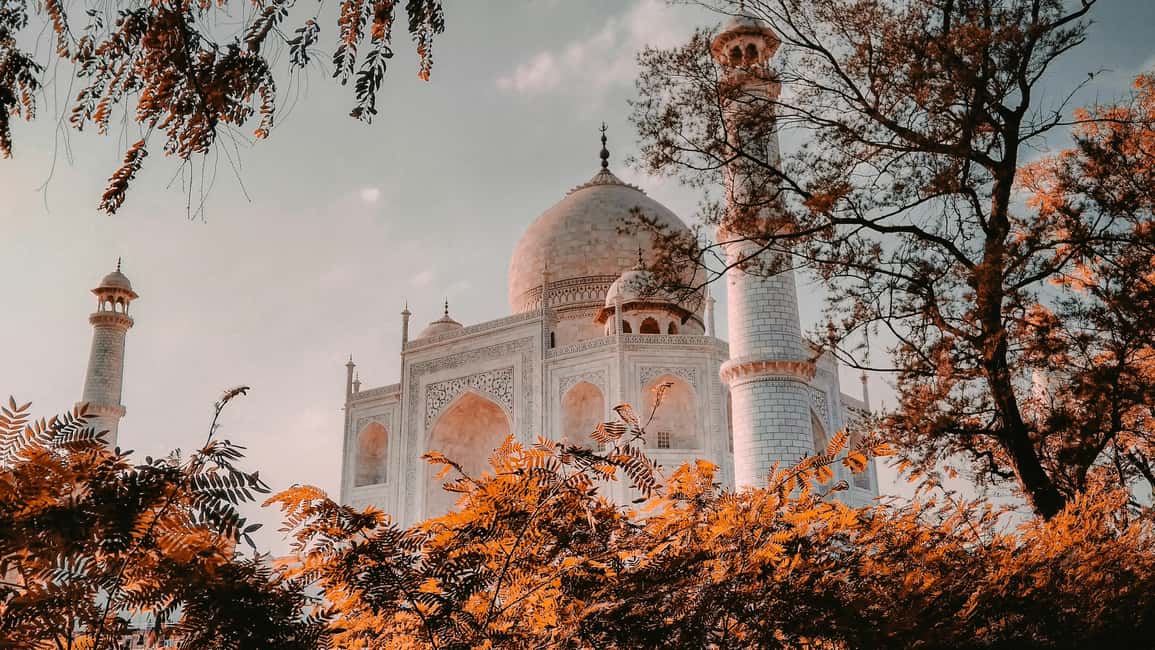 7-Day Golden Triangle Jodhpur Udaipur Tour from Delhi - Day 4: Jodhpur’s Mehrangarh Fort and marble stops