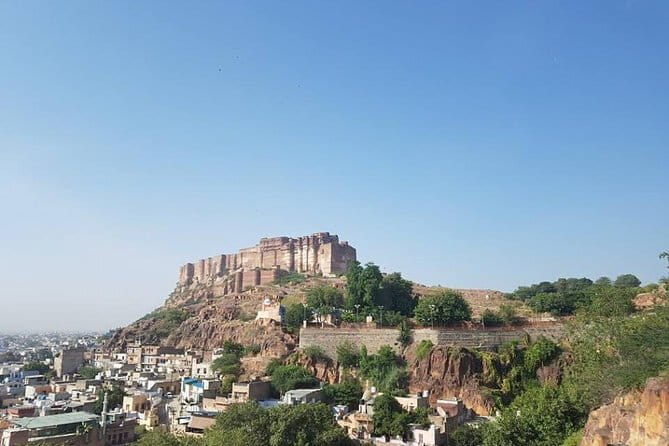 All inclusive Vegetarian Jaipur Food and Heritage Tour - Chai, Sweets, and Snacks: What Included Food Actually Feels Like