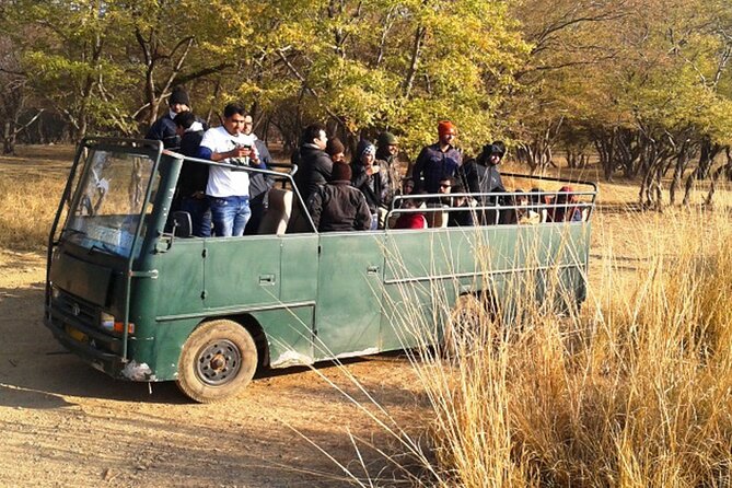 Day Trip to Ranthambore Tiger Reserve from Jaipur - What wildlife you can realistically spot at Ranthambore