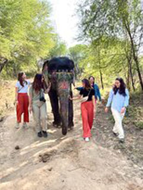 Elephant Sanctuary for Best elephant experience in Jaipur - Key points before you go