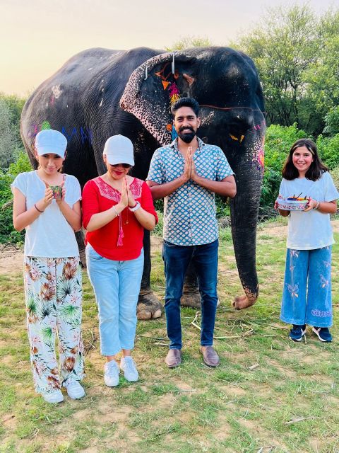 Elephant Sanctuary for Best elephant experience in Jaipur - Languages and Who This Experience Fits Best