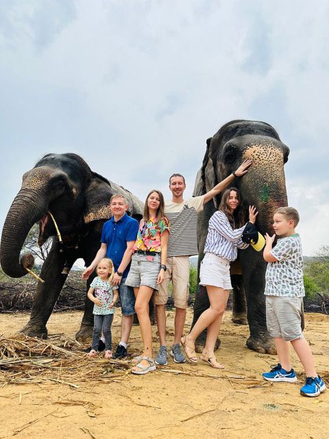 Elephant Sanctuary for Best elephant experience in Jaipur - Meeting Rescued Elephants Without Riding: The Ethics You Can Feel