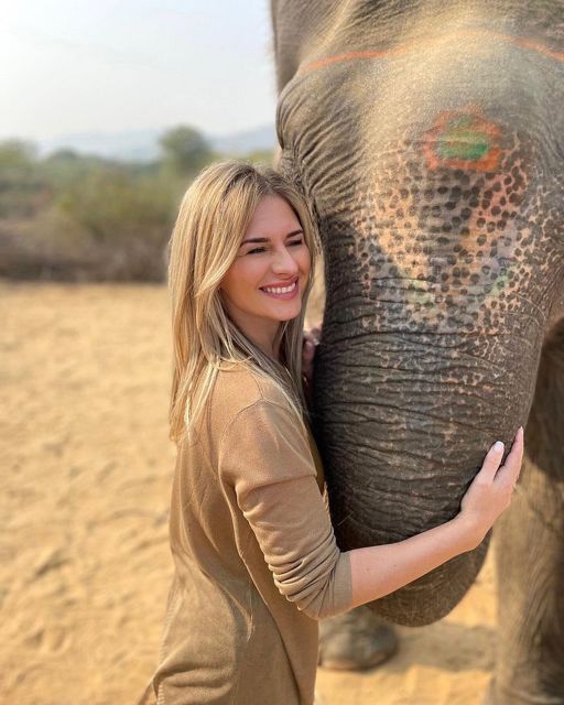 Elephant Sanctuary for Best elephant experience in Jaipur - Price and Value: What $62 Really Buys in Jaipur
