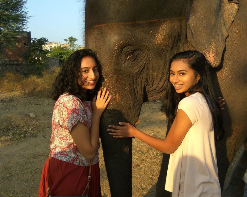 Elephant Sanctuary for Best elephant experience in Jaipur - What to Pack for a Smooth Sanctuary Visit