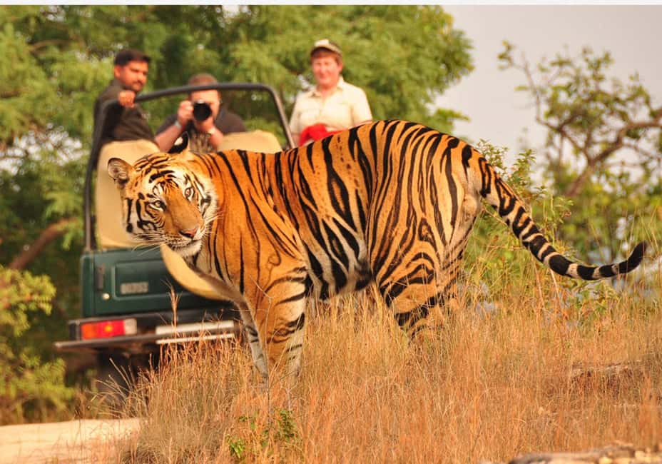 From Delhi: 6-Day Golden Triangle Tour with Ranthambore - Day 2 Agra: sunrise Taj Mahal with separate entrance access