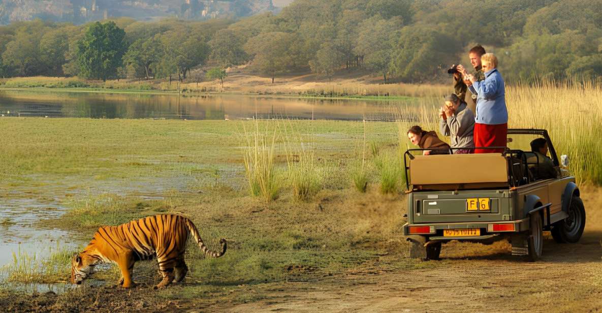 From Jaipur : 2 Days Ranthambore Tiger Safari Tour By Car - Early Morning Safari Day 2: Where the Odds Tend to Be Best