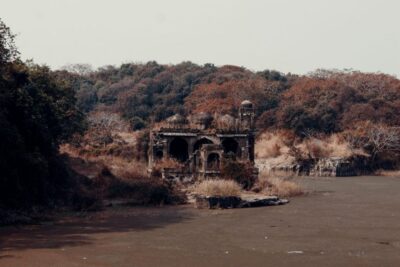 From Jaipur : 2 Days Ranthambore Tiger Safari Tour By Car - Afternoon Tiger Safari Day 1: Your First Real Look at the Park