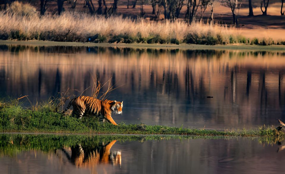 From Jaipur : 2 Days Ranthambore Tiger Safari Tour By Car - Guides, English/Hindi, and the Most Useful Safari Skills