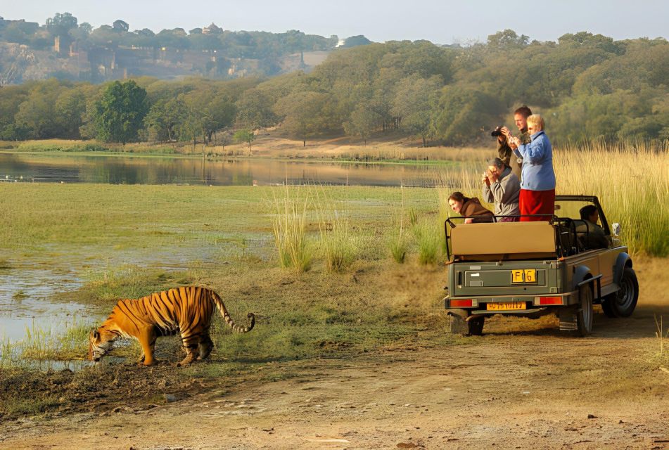 From Jaipur : 2 Days Ranthambore Tiger Safari Tour By Car - Canter vs Gypsy: How Vehicle Choice Affects Your Comfort
