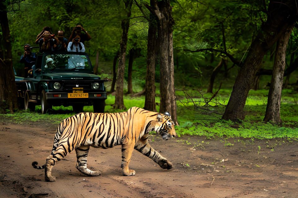 From Jaipur : 2 Days Ranthambore Tiger Safari Tour By Car - Price and Value: Is $222 Per Person Reasonable Here?