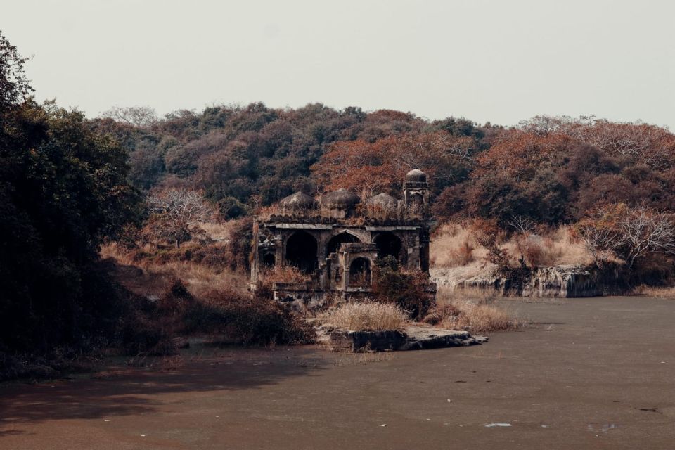 From Jaipur : 2 Days Ranthambore Tiger Safari Tour By Car - Afternoon Tiger Safari Day 1: Your First Real Look at the Park