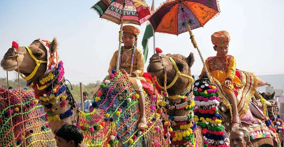 From Jaipur: One-Day Trip From Jaipur to Pushkar - Key things to know before you go