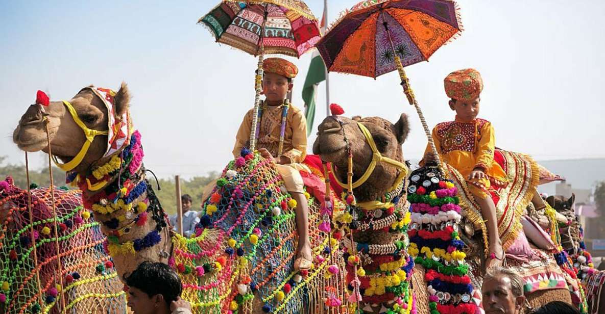 From Jaipur: One-Day Trip From Jaipur to Pushkar - Jaipur to Pushkar: the comfort math