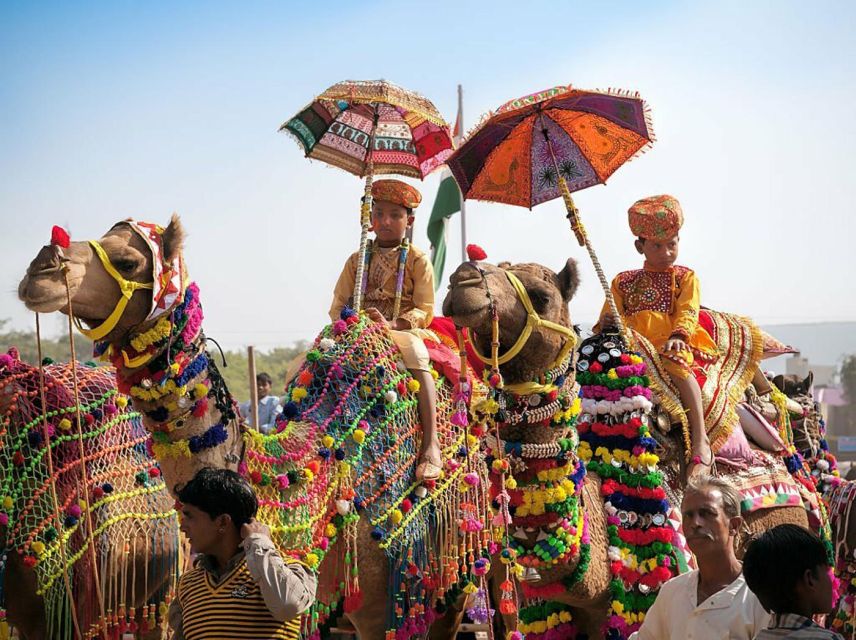 From Jaipur: One-Day Trip From Jaipur to Pushkar - Brahma Temple: the one-stop that feels genuinely different