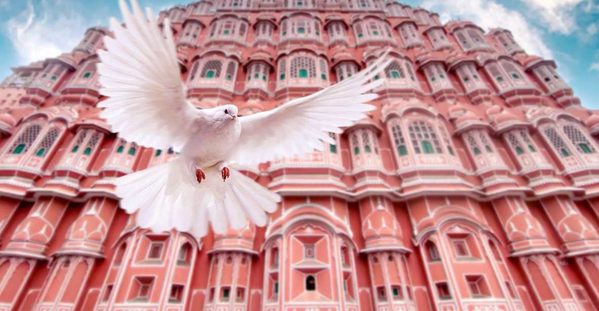 From Jaipur: Private Amber Fort, Jal Mahal and More Car Tour - City Palace and Chandra Mahal: Royal Rooms That Still Feel Like a Living Place
