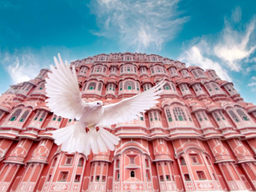 From Jaipur: Private Amber Fort, Jal Mahal and More Car Tour - Amber Fort: Red Sandstone, Marble Details, and a Guided Reality Check