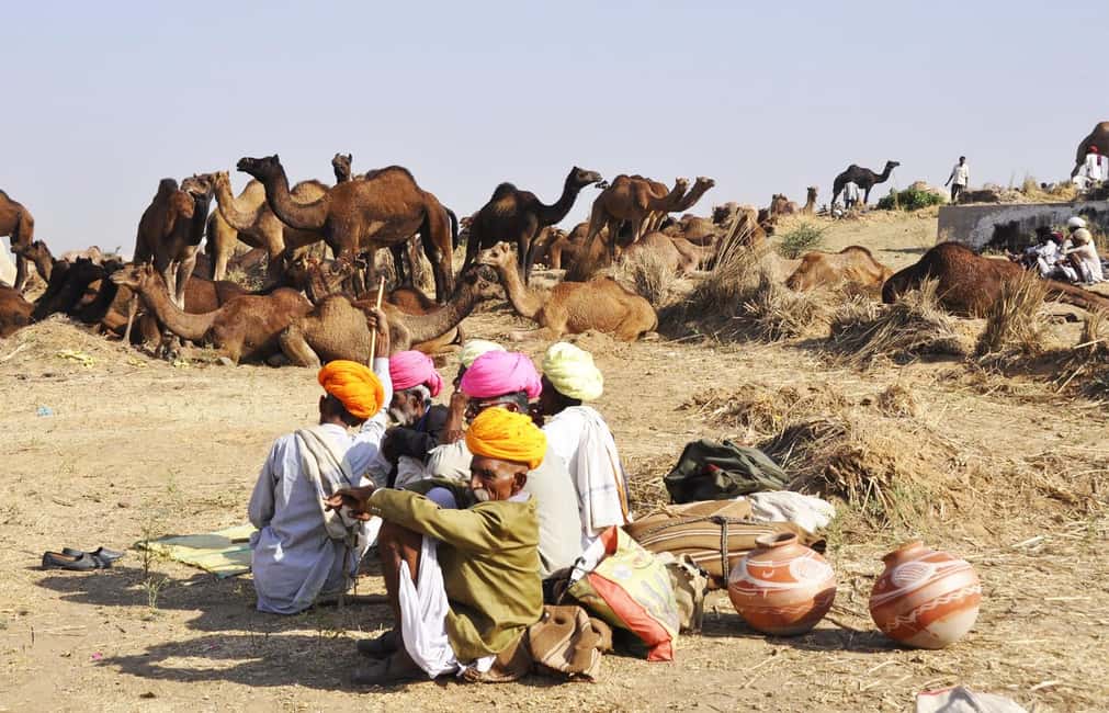 From Jaipur: Same Day Pushkar Self-Guided Day Trip - The Pushkar walking loop: temples, views, and staying on track