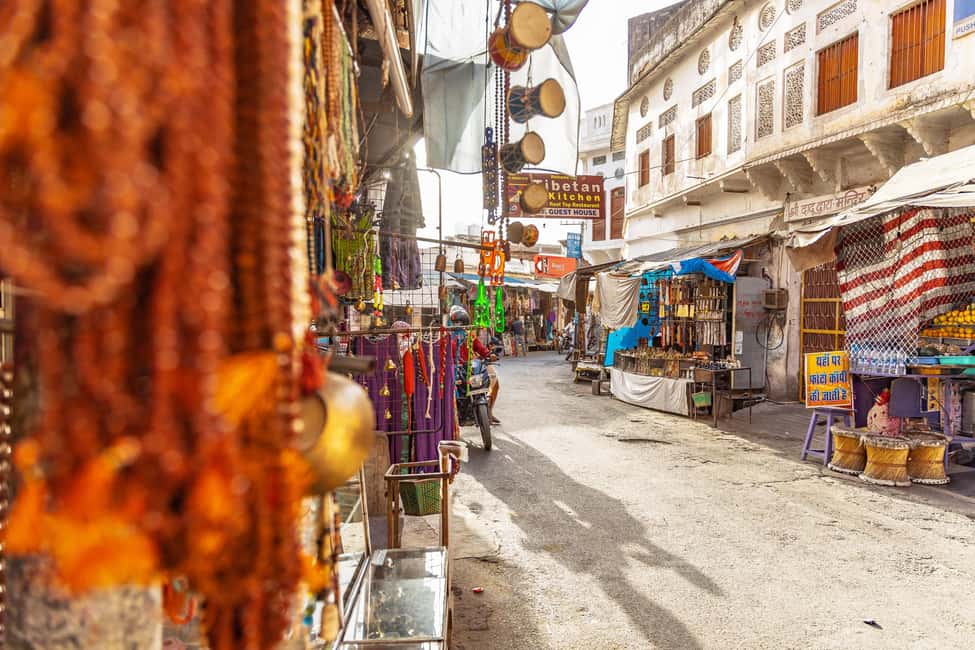 From Jaipur: Same Day Pushkar Self-Guided Day Trip - Camel ride and Thar desert views: worth it if you want motion
