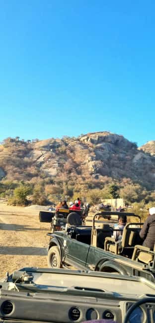 From Jaipur: Sariska National Park Day trip with Safari - Practicalities: timing, weather risk, and what to pack