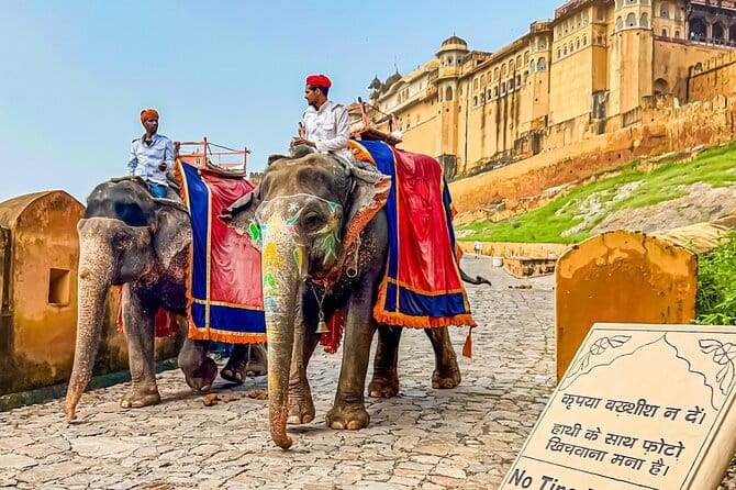 Full-Day Jaipur Highlights with Local Guide & Private Vehicle - Jal Mahal: Water Palace Views Without the Heavy Time Cost