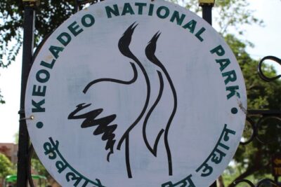 Guided Keoladeo Bird National Park Tour in Bharatpur from Jaipur - Entering Keoladeo National Park: UNESCO birds with a real guide