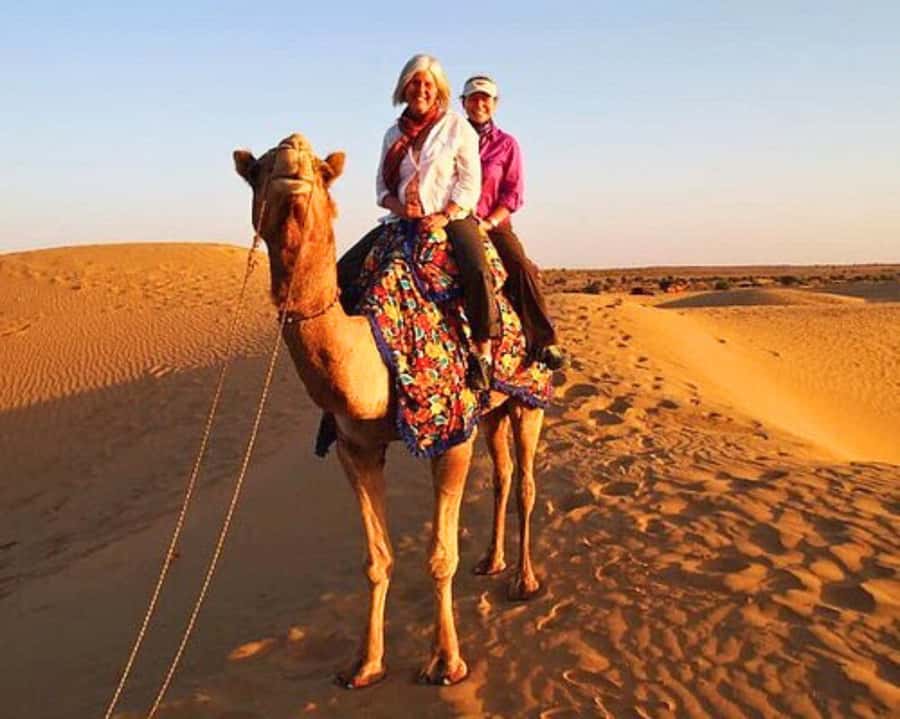 Jaipur: Ajmer & Pushkar Day Trip with Lunch & Camel ride - Key highlights you’ll care about