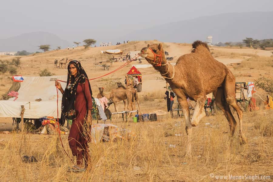 Jaipur: Ajmer & Pushkar Day Trip with Lunch & Camel ride - Ajmer Sharif Dargah and Adhai Din Ka Jhonpra: Sufi Worship and Stone Details