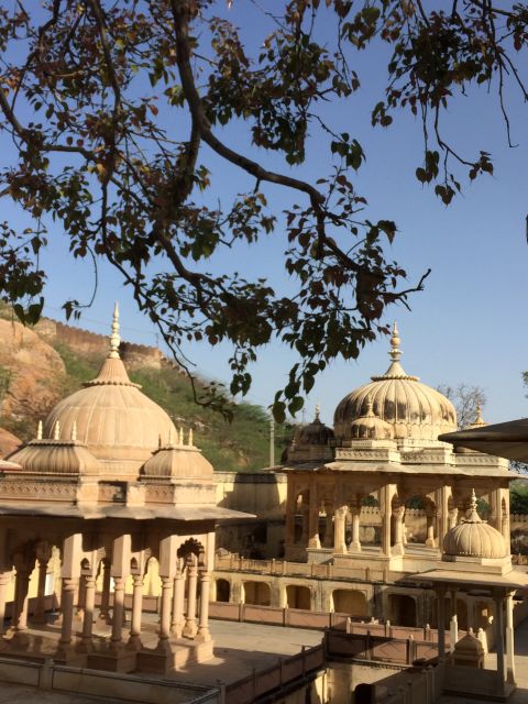 Jaipur : Cultural & History Tour With Private Guide - Jal Mahal From the Lake Shore: Pretty, but Not an Inside Stop