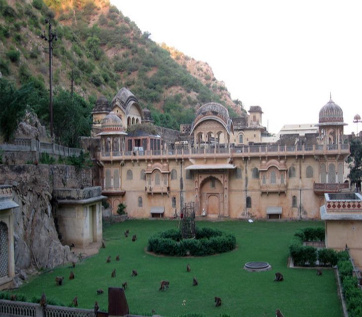 Jaipur: Full-Day City Tour with Camel Ride and Monkey Temple - The Big Picture: A 9-Hour Jaipur Hit List