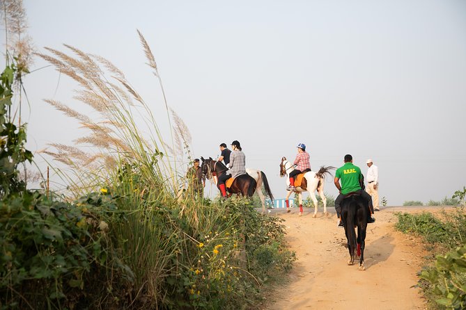 Jaipur Horse Riding Adventure - The 6:30 am Start at Ramada Jaipur: Why Timing Matters