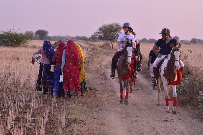 Jaipur Horse Riding Adventure - Value for $166.56: What You’re Paying For