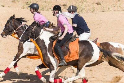 Jaipur Horse Riding Adventure - The Ride Plan: From Slow Walks to Village Farmlands