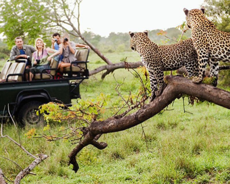 Jaipur: Jhalana/Amargarh Leopard Safari Private Tour - The Jhalana 4x4 jeep safari: where leopard spotting turns into a real skill game
