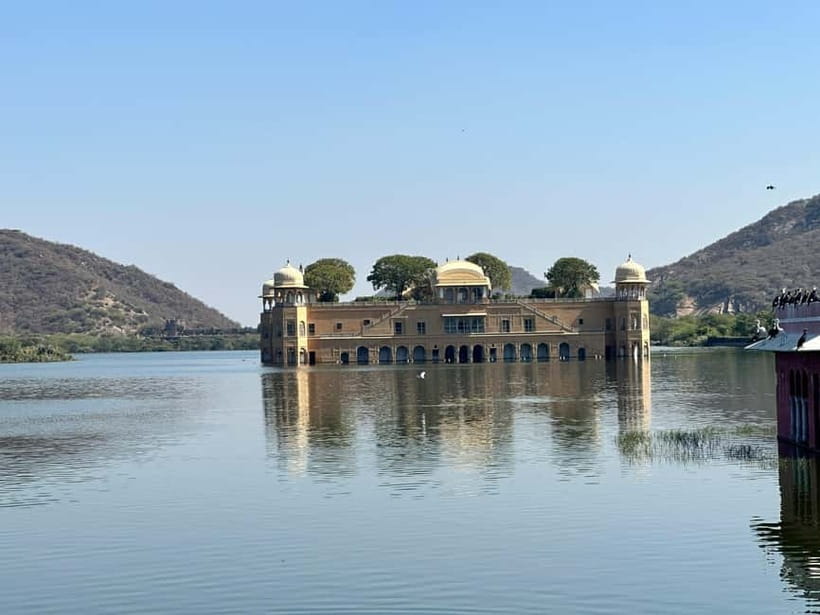 Jaipur: Monkey Temple and Sun Temple Guided Tour - Key highlights that make this tour worth your time
