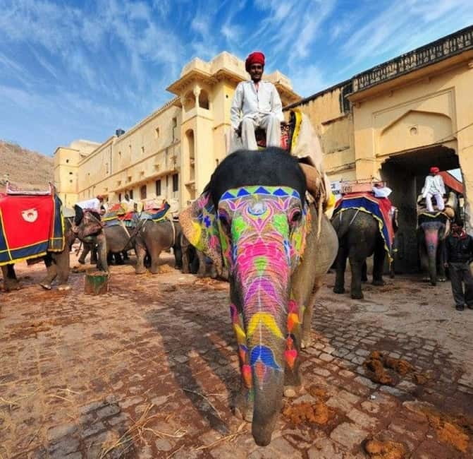 Jaipur : Night Heritage Walk & Street Food Tasting in Jaipur - The food flow: chai + tastings + local lunch (and why that’s smart)