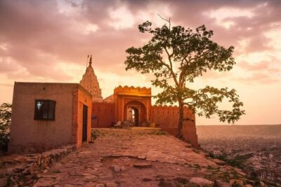 Jaipur Night Tour with Scenic Sunset at Monkey Temple - Albert Hall Museum in the Evening: Big Architecture, Clear Focus