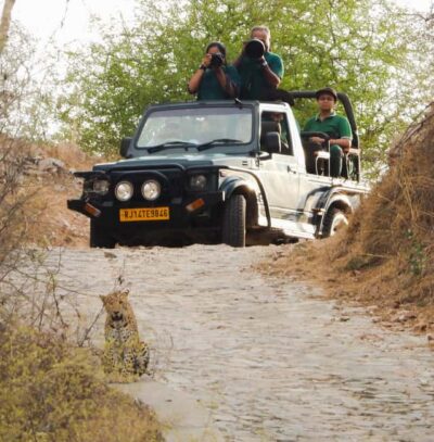 Jaipur: Private Jhalana Leopard Safari Tour - Your 2.5-hour flow: meeting point to leopard search