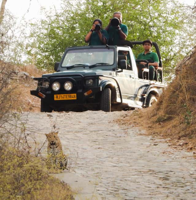 Jaipur: Private Jhalana Leopard Safari Tour - Your 2.5-hour flow: meeting point to leopard search