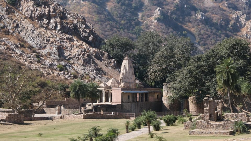 Jaipur: Same-Day Bhangarh Fort & Chand Baori Stepwell Tour - Price and value: what $43 gets you (and what it doesn’t)