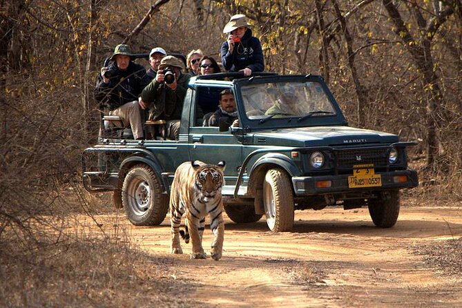 Jaipur to Ranthambore National Park Private One Day Trip - A 9:00 AM Jaipur pickup and the 200 km drive to Ranthambore