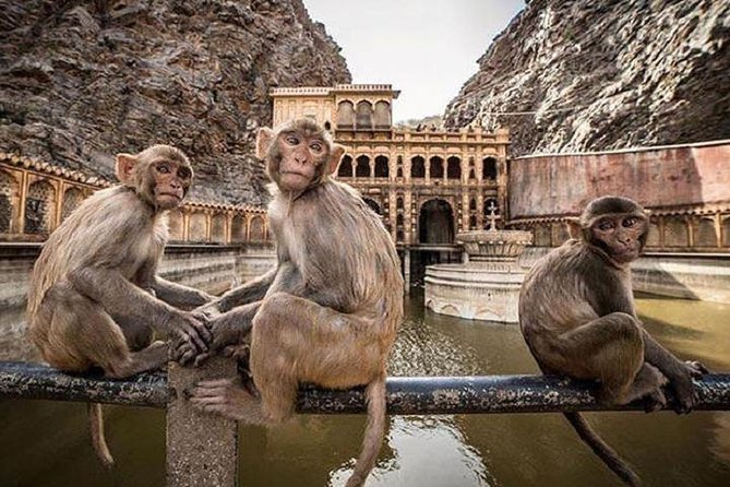 Jaipur Tour By Car & Guide - Private Full Day Sightseeing with Tickets - Amber Palace uphill: where the views do the talking