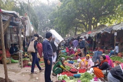 Jaipur Tour with Monkey Temple and Block Print Experience - Flower Market: what you’ll see (and how to enjoy it)