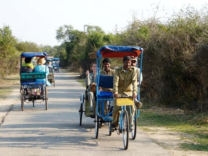 Keoladeo National Park Tickets and Guided Tour - Keoladeo in 3 hours: why this park works as a short stop