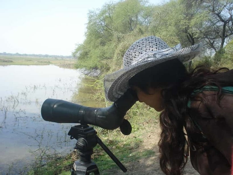 Keoladeo National Park Tickets and Guided Tour - Guided rickshaw tour: how spotting birds actually feels