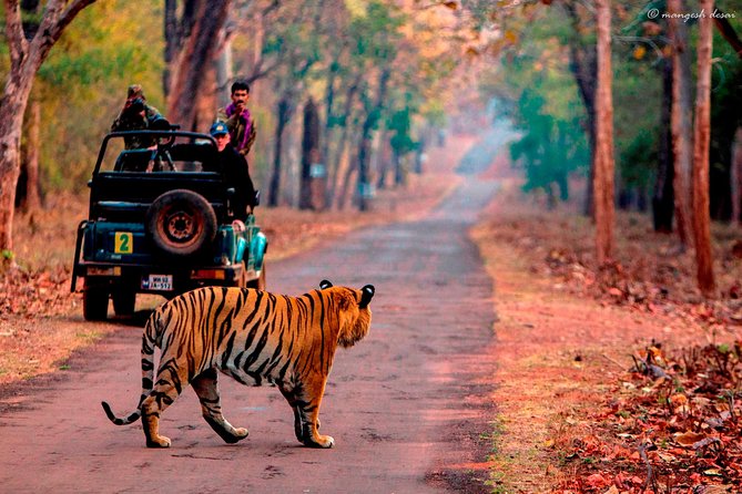 One Way Transfer Jaipur to Sawai Madhopur Hotels In AC Vehicle - Jaipur To Sawai Madhopur: Why This Transfer Feels Like a Straight Shot