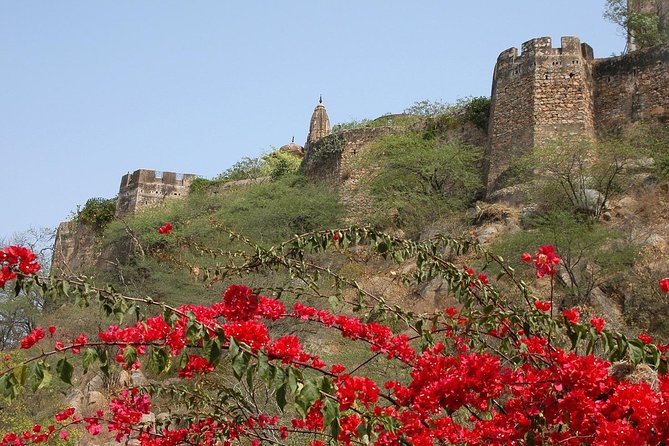 Private 6 Hours: Jaipur Temples Tour - Key Things I’d Prioritize Before You Go