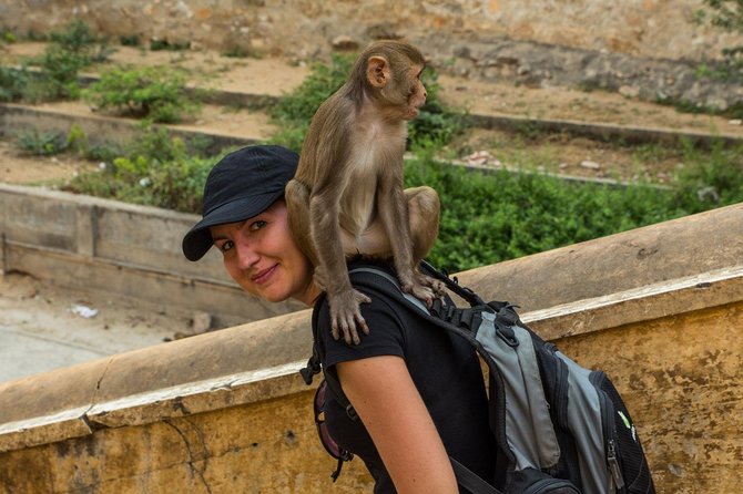 Private 6 Hours: Jaipur Temples Tour - A Spiritual Day in Jaipur’s “Mini Kashi” Rhythm