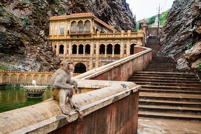 Private 6 Hours: Jaipur Temples Tour - Stop 3: Khole Ke Hanuman Ji and the Monkey God Scene